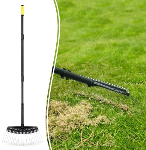 Colwelt Rechen für Stroh, Vertikutierer mit dünnen, gebogenen Federstahlzinken, Entstopfungsrechen mit 156 cm Stahlgriff, Toter Grasrechen für Rasen, Entfeuchter und Vertikutierer für Tannennadeln