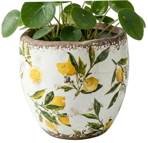 BeVistoso Keramik-Blumentopf, toskanischer Keramik-Übertopf – gelber Blumentopf mit Vintage-Craquelé-Glasur für den Innen- und Außenbereich, Garten, Terrasse und Heimdekoration