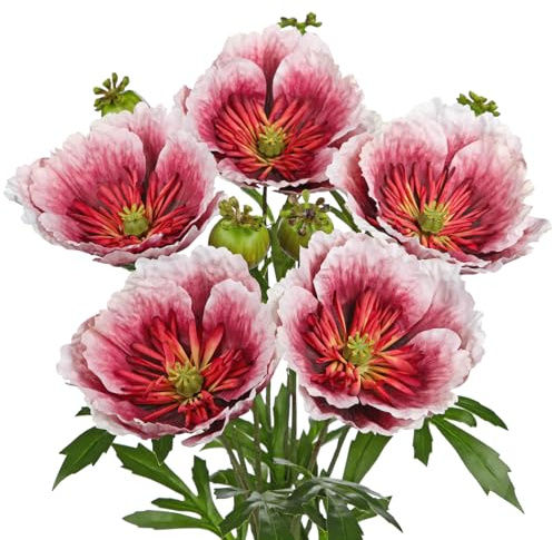 Hollyone 5er-Set Kunstblume Mohn Rot Künstliche Mohnblumen Wie Echt 82cm Länge Seide Dekoblumen Kunstzweige für Blumengesteck Hochzeits Vase Tischdekoration