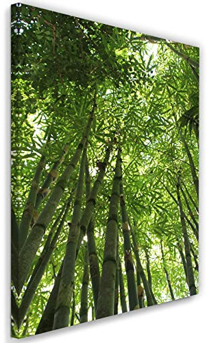 Feeby Vlies Leinwandbild Exotisch Tropen Bambus 20x30 cm Wand Bild Kunstdruck Deko Wohnzimmer Wohnungs Deko Natur Wald Bäume Pflanzen Grün