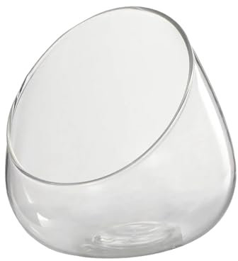KESOTO Ciotola con taglio inclinato Vaso di vetro Piatto di caramelle Barattolo di frutta Ciotola per terrario in vetro per tavolo
