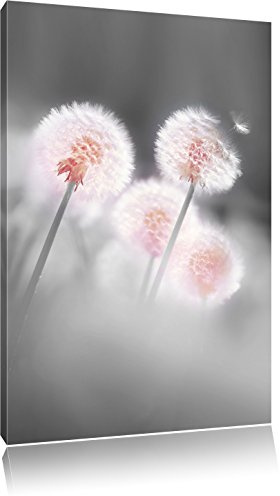Pixxprint Pusteblumen im morgendlichen Wind, Größe: 80x60cm, Leinwandbild, fertig gespannt, Wandbild, Dekoration, Kunstdruck, kein Poster