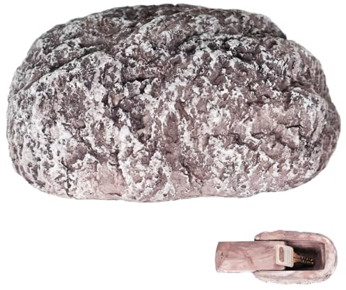 Cachez une clé à l'extérieur, en résine Fake Rock Key Hider, à l'extérieur Simulation imperméable Hider Rock Kider pour le jardin, géocaching, cour (gris clair)