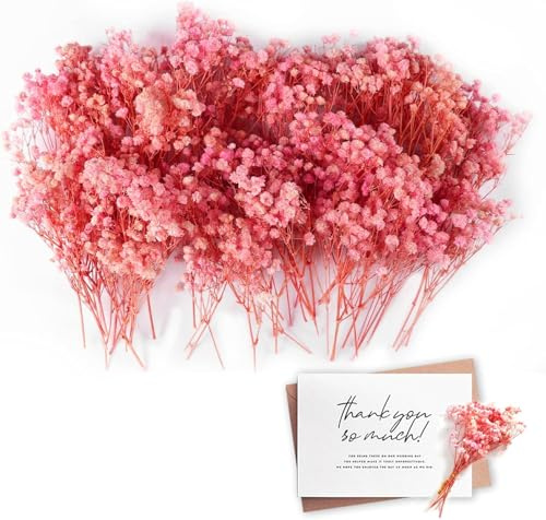 Schleierkraut Getrocknet, 100 Stück Schleierkraut Klein Trockenblumen zum Basteln Getrocknete Blumen Getrocknete Blüten für Hochzeit Lesezeichen DIY Karten Deko (Rosa)