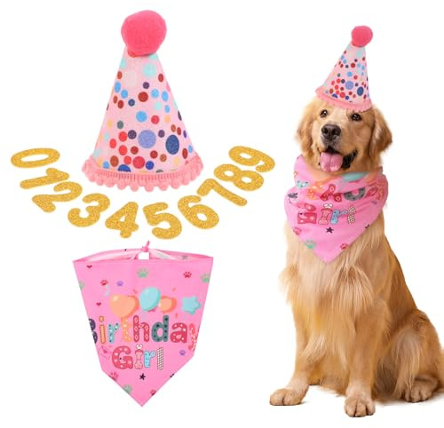 Qianyu Pañuelo de cumpleaños para perro y sombrero de fiesta con números, suministros de decoración para perros grandes, medianos y pequeños