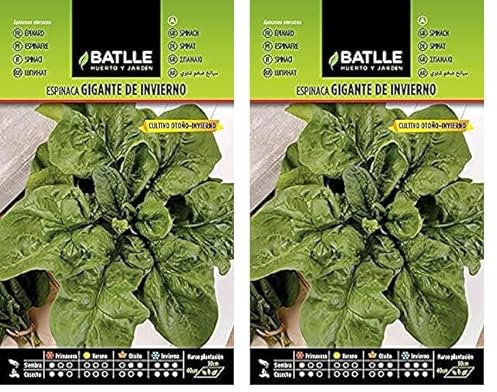 Semillas Batlle Espinaca GIGANTE DE INVIERNO (Paquete de 2)