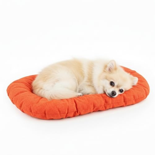 Natural Exit Letto e Cuscino per Cani e Gatti da Interno, Morbido, Design Confortevole in Tessuto Resistente – Cuccia per Cani da Interno in Varie Misure e Colori (Arancione, L)