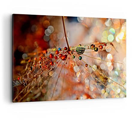 ARTTOR Wandbilder Dekoration Wohnzimmer Spinnennetz modern Bilder auf Leinwand 120x80cm Leinwandbild Schlafzimmer Küche Deko Wand Kunstdruck Art Groß XXL Wanddeko Bild Wall Decor Canvas AA120x80-3774