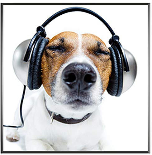 motivX-Ideenwerkstatt Magnettafel Quadrat incl. 100 STK. GRATIS Notizzettel - Motiv - Hund mit Kopfhörern