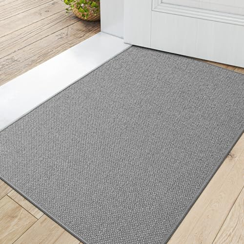 DEXI Fußmatte Innen 60 x 90cm, rutschfest Schmutzfangmatte, waschbar Fussmatte, Dünne Eingangstürmatte, Strapazierfähige Türmatte für Innenbereich, Hellgrau