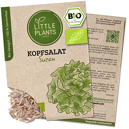 Litte Plants BIO Kopfsalat Samen, 180 Salatsamen, hohe Keimrate, 100% Natürlich, BIO Samen Kopfsalat Suzan für Gemüsegarten, Gemüsebeet, Hochbeet – BIO Gemüsesamen Saatgut Nachhaltig