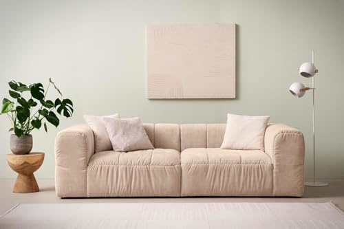 DOMO. collection Sofa Campana, Taschenfederkern, rosé | 3 Sitzer mit Taschenfederkern, komfortables Bigsofa mit gepolsterter Rückenlehne, 250 x 113 x 72 cm (BxTxH)