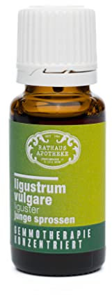 RATHAUS APOTHEKE WIEN Concentrated Bud Extract - Gemmotherapy - Ligustrum Vulgare - The Privet - 15 ml