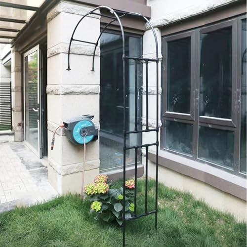 Mural Arche pour Jardin, Support pour Plantes grimpantes en Tube d'acier recouvert de Plastique PE, Treillis décoratif pour légumes, Fleurs et vignes pour terrasse extérieure