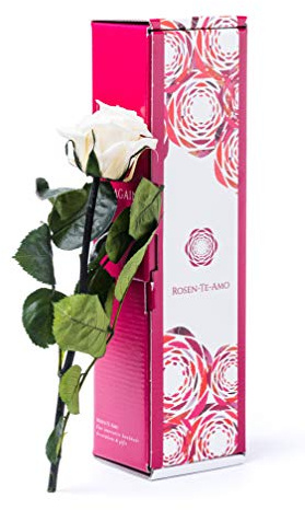 Rosen-Te-Amo | Infinity Rose Weiß am Stiel mit Rosenduft | Echte Rosen Geburtstagsgeschenk für Frauen, Ewige Rose in Geschenkbox | Konservierte Blume zu Weihnachten, Valentinstag, Mama, Deko Geschenk