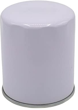 motokent ELEMENTO DE FILTRO DE ACEITE: Compatible con RUGGERINI/RD 290-16965