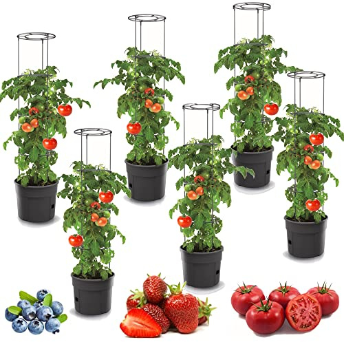 6 x tomatkrukor, planteringskrukor, set med 6 stycken tomatodlingskrukor på 12 l, överkruka, grönsaker, tomater