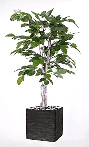 Artificielles.com - Higuera de Banyans artificial 180 cm