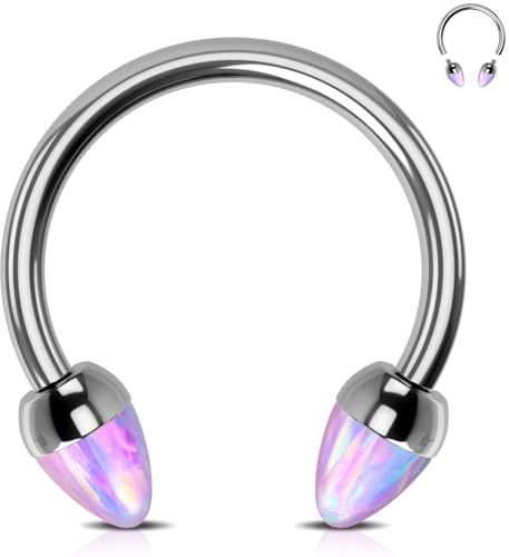OUFER Body Piercing 16G Titanium Horseshoe Septum Ring Internally Threaded Helix Rings Hoop 8/10mm Barbells Helix Daith Cartilage Tragus Earrings Eyebrow Body Piercing Jewellery