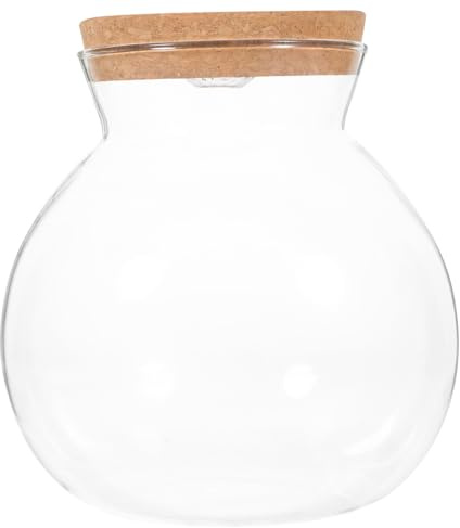 Amosfun Micro Landscape Diy Glass Fish Bottle with Led White Light, Glass Bottle with Wooden Lid, Small Creative Terrarium Container for Home Decor and Office Display
