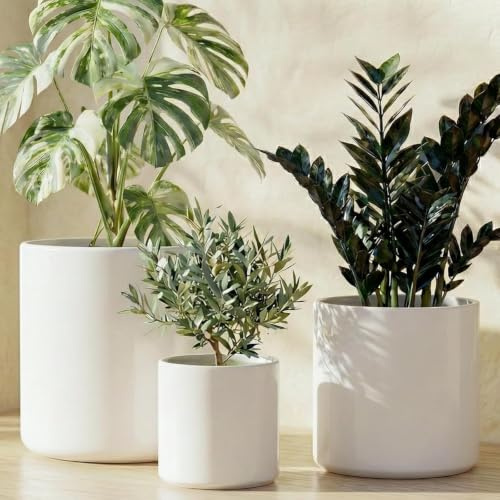 LE TAUCI 15+20+25 cm Plant Pots Set, Ceramic Planters for Indoor Plants, Mid-Century Modern Flower Planter Pots with Drainage Hole and Plug, Cylinder Round Planter Pots, Set of 3, White