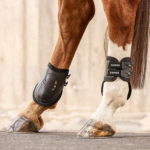 SUNRIDE Streichkappen (2er Set) für Pferde - aus Echtleder mit stoßabsorbierendem Netz und optimaler Belüftung (M, schwarz)