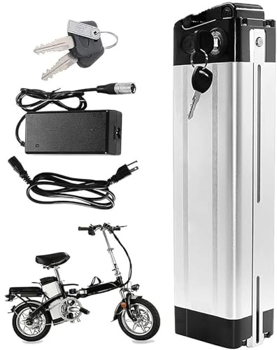 Batería Ebike 48V 20Ah, Batería Bicicleta Electrica 48V 20Ah Impermeable Batería De Alta Potencia 48V Ebike Batería para Motor 1000W 750W 500W 350W 250W con Cargador