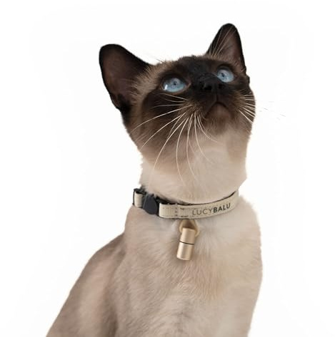 LucyBalu® Willy Katzenhalsband mit Namenskapsel – Sand | Reißfestes Nylon-Halsband, wasserdichte Aluminium-Kapsel für Kontaktzettel, Sicherheitsverschluss