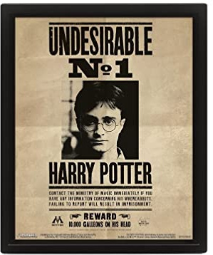 HARRY POTTER Poster in 3D (Undesirable Number 1 Design) 3D Lenticular Poster in Rahmen 25cm x 20cm x 1.5cm, HARRY POTTER Geschenke für Mädchen und Jungen - Offizielles Lizenzprodukt