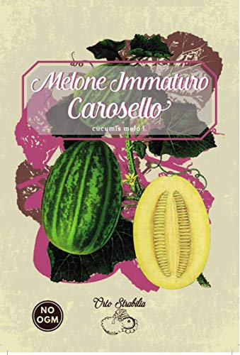 melone carosello barattiere,cucumis melo,gr 2,semi rari,semi strani, orto strabilia