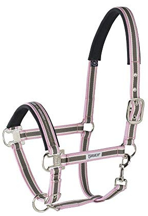 Eskadron Standard Halfter PIN Buckle