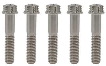 RISON-Titanium Titanschrauben M10x1.25x70mm, 5 Stück Flanschschraube Torx Kopf Flansch Schrauben Sechskantschrauben Gewindeschrauben GR5 Titanbolzen Befestigungen für Motorräder Fahrrad Auto