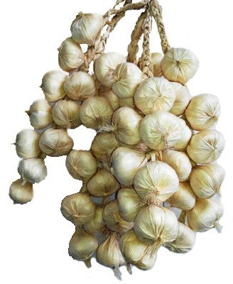 Calcifer 1 Sets Artificial Fruits Vegetable String For Restaurant Hotel Home Garden Decoration Display (garlic : 10 bulbs)