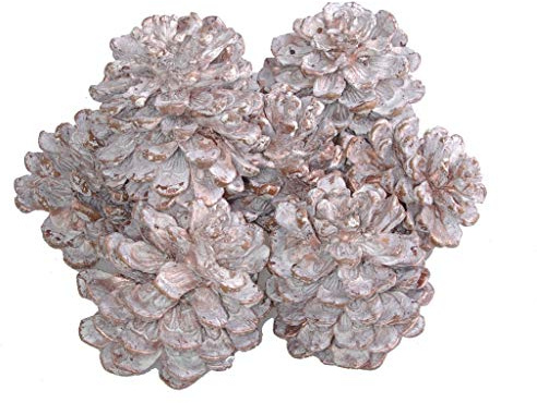 Pinienzapfen - Pinus Pinea - Pinie - Kiefernzapfen - Tannenzapfen - Zapfen - Herbstdeko - Weihnachtsdekoration - Metallic Weiss/Kupfer - ca. 8 cm Höhe - VE = 8 Stück- 30025