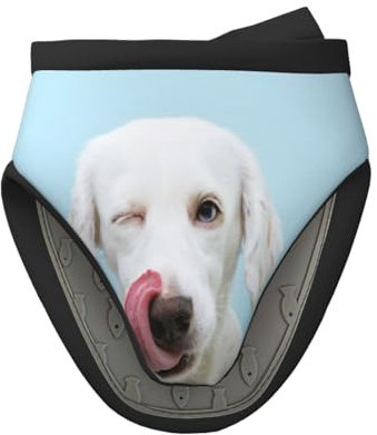 Labrador divertente, Mini guanti da forno in silicone, guanti da forno da cucina antiscivolo resistenti al calore