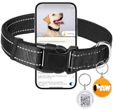 Halsband Hund Verstellbar,Weich Gepolstertes Neopren Nylon Hundehalsband für Großhunde,mit QR-Code-Hundemarke zur Verlustprävention,(L:2.5 cm breit, 40–60 cm lang),Schwarz