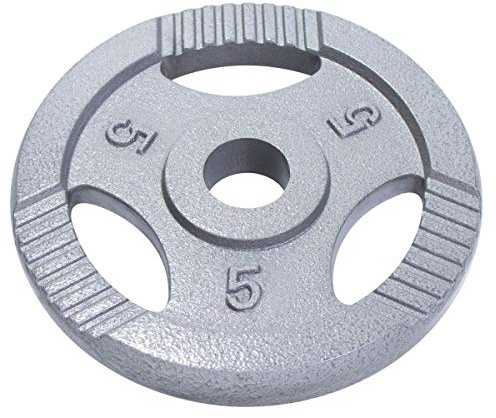 Gorilla Sports® Disques de Poids - Olympiques, Individuel/Ensemble, 1,25kg, 2,5kg, 5kg, 10kg, 15kg, 20kg Poids, Ø 50mm, Argent - Disques d'Haltères, Ensemble de Plaques, Musculation, Haltérophilie