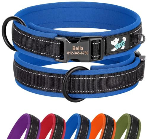 Didog Personalisiertes Nylon-Hundehalsband, weiches Neopren gepolstert, individuelle Hundehalsbänder, reflektierendes Hundehalsband graviertem Namensschild kleine, mittelgroße große Hunde, blau, L