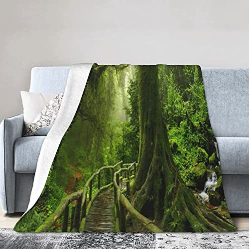 3D Kuscheldecke 150x200 Baumsicht Warme Decke Natürliche Landschaft Flanell Fleecedecke Grüner Wald Flauschig Weich Wohndecke für Sofadecke Couchdecke Sofaüberwurf Bettüberwurf