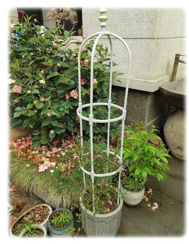 90cm/120cm/150cm/180cm High Garden Trellis For Climbing Plants Metal Obelisk Frame Tall Tower Obelisk Climbing Plant Vines Support Outdoor Patio Arch Rustproof ( Color : Cream , Size : ID28cm*H180cm )
