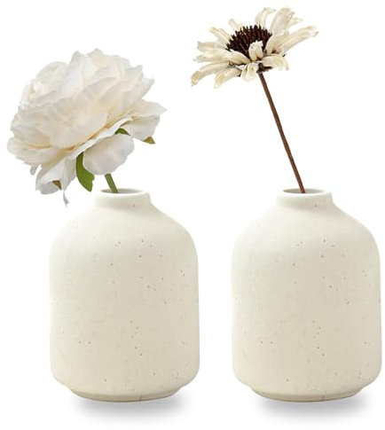 Set of 2 Ceramic Vase for Flower, Small Decorative Flower Vase Set for Home Decor, Living Room, Table, Kitchen, Wedding, Office(Beige)