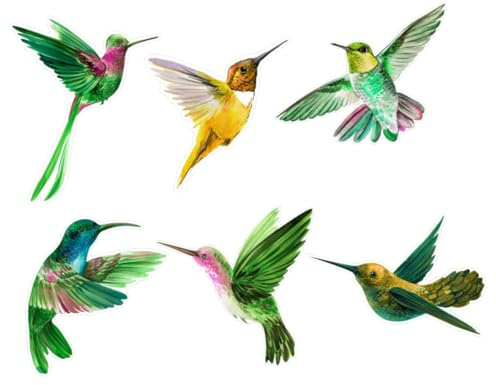 HAMPPLIES 6piezas Película Anticolisión Para Ventanas De Pájaros Adhesivos No Adhesivos Para Vidrio Unidades Decoración Para Sala De Estar y Dormitorio