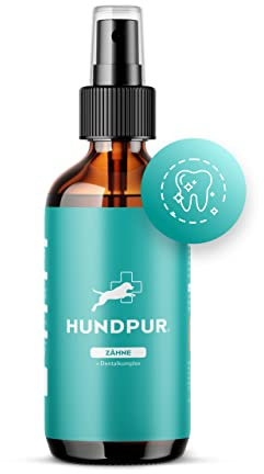 Hundpur Zähne 100 ml - Natürliches Dentalspray für Hunde - Für Gesunde Zähne & Zahnfleisch - Gegen Mundgeruch mit Minze & Eukalyptus - Made in Germany