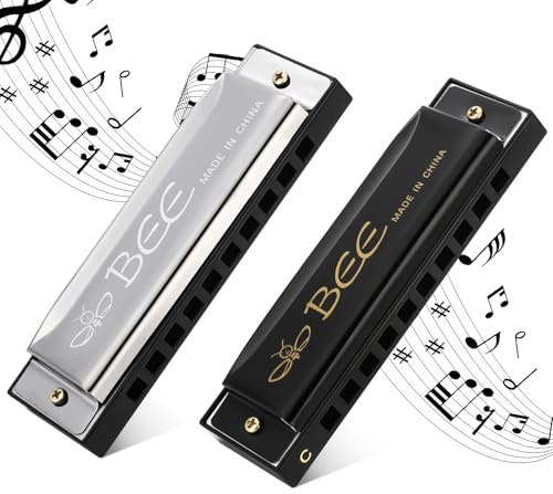 fanshiontide 2 Pieces Blues Harmonica 10 Holes 20 Tones, Mouth Organ Key of C Diatonic Perfect Music Gift for Kids Adults Beginners and Performers (Black&Silver)