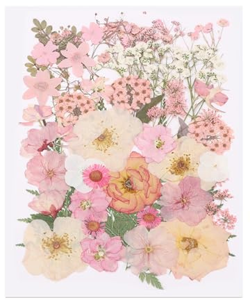 PATIKIL 48 Unidades de Flores y Hojas prensadas secas a Granel, Flores Naturales secas para Manualidades Florales con Resina DIY Arte Scrapbooking, Rosa melocotón