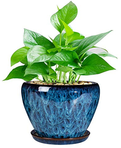 Ceramic Modern Glaze Succulent Planter Pot with Drainage Hole and Saucer 6 Inch Round Flower Plant Pot for Indoor Outdoor Herb Snake Plants