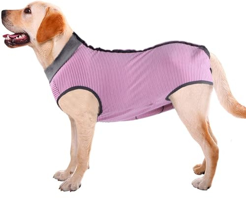 Dotoner Krankenhausanzug für Hunde und Katzen, Wundschutz für Welpen, medizinische Kleidung, nach Operationen, Ersatzkragen und Kegel