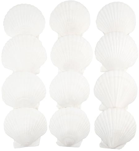 Jangostor 12 Piezas Conchas Naturales, 10 cm - 12 cm Blanco Conchas Marinas Naturales Conchas Grandes para Artesanías Bodas decoran Fiestas temáticas de Playa, peceras y Rellenos de jarrones