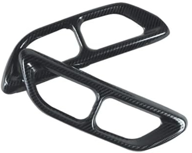LUOWEINA Garniture couvercle tuyaux silencieux queue, Convient for Accord, 10e 2018-2021 Cache décoratif pour pot d'échappement de véhicule
