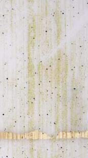 Wachsverzierfolien pastell gestreift Anzahl 1 Stück, Größe 225 x 90 mm, Farbe elfenbein/gold/schwarz getupft